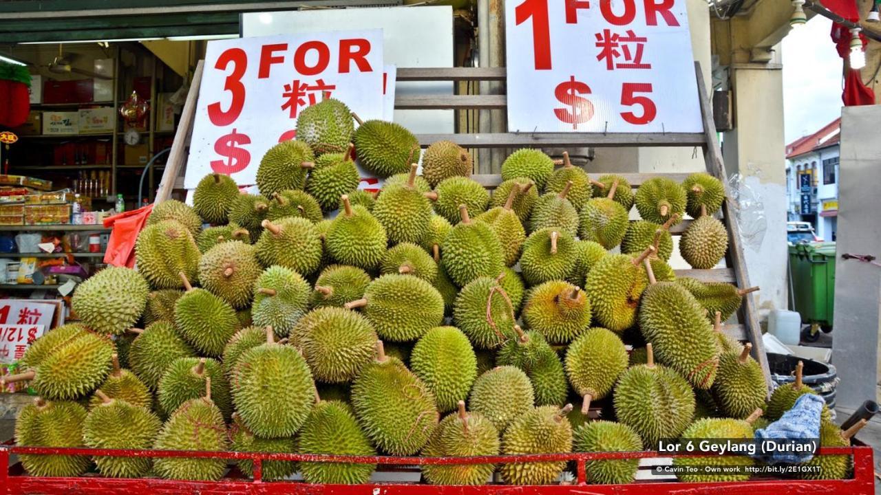 Zen Rooms Geylang Singapore Eksteriør billede