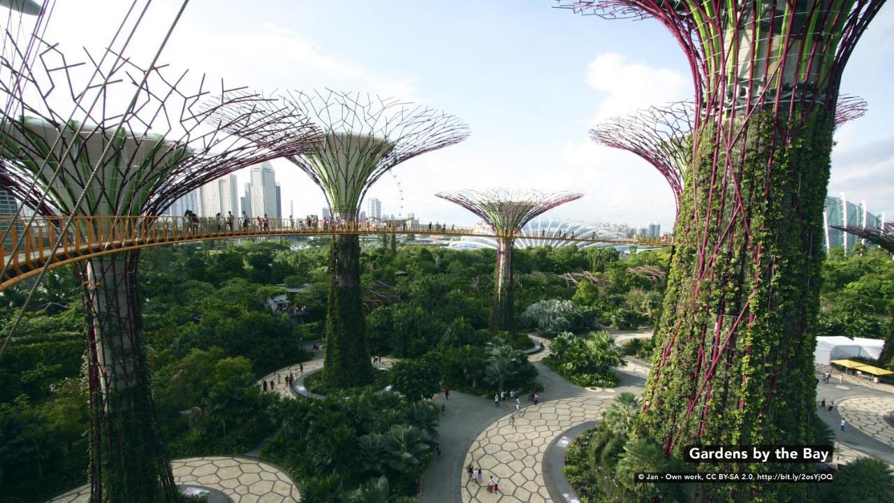 Zen Rooms Geylang Singapore Eksteriør billede